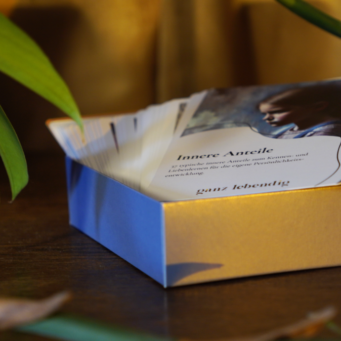 Jeu de cartes Pages intérieures